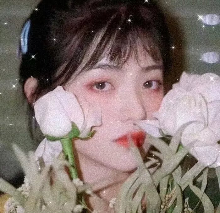 摄影